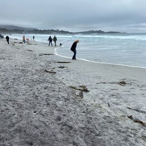 Meet your Posher, Mandana